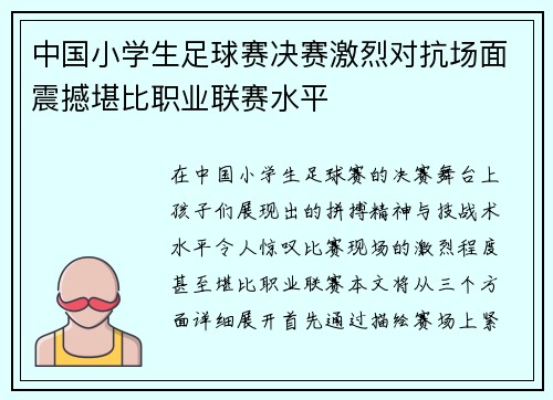 中国小学生足球赛决赛激烈对抗场面震撼堪比职业联赛水平